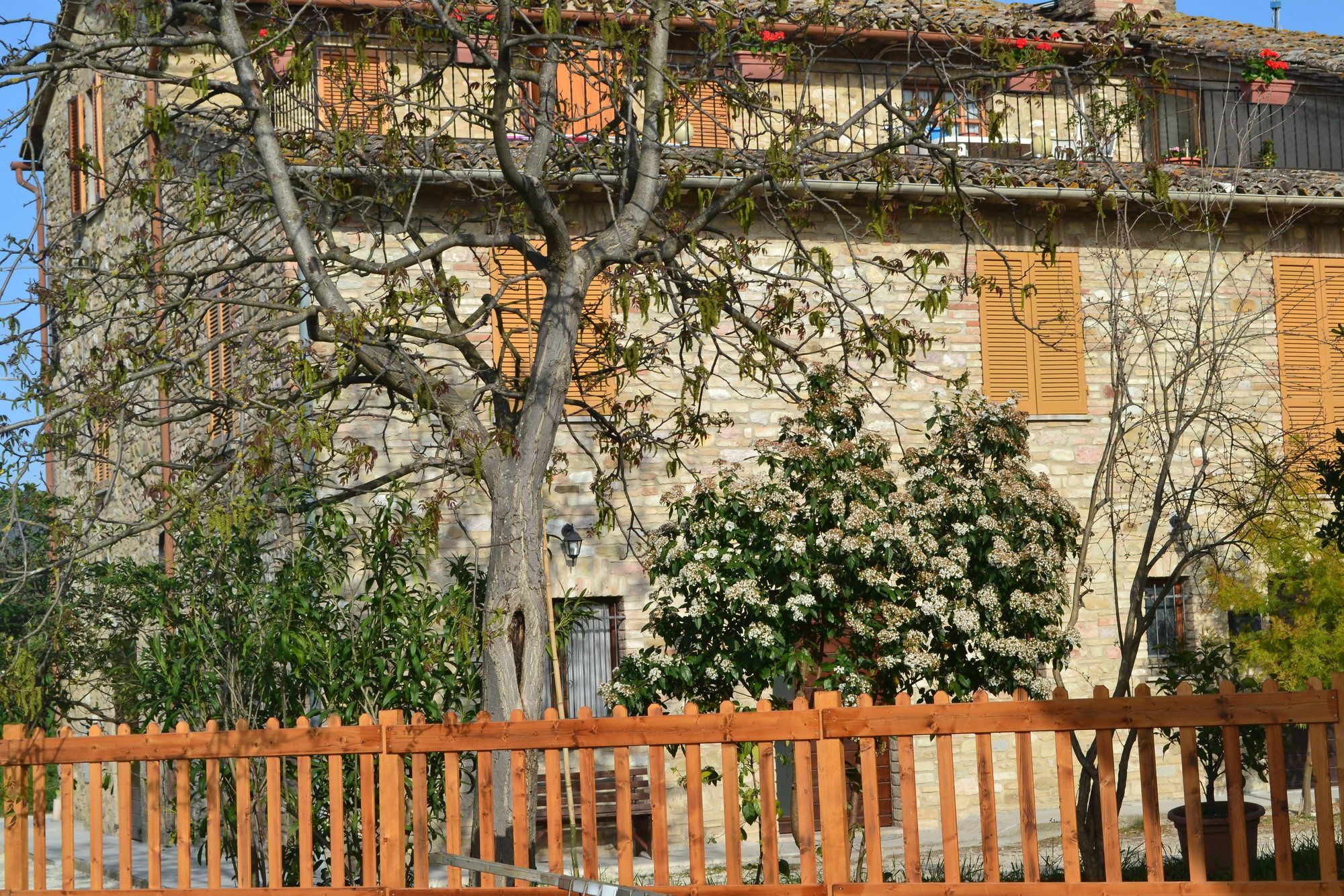 Camere I Monelli Asís Exterior foto